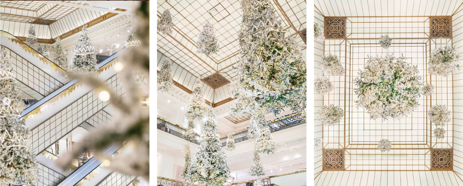 UniTouch Debuts New Product at Le Bon Marché, Paris A Dream Forest Created  of a Thousand Silver Christmas Trees